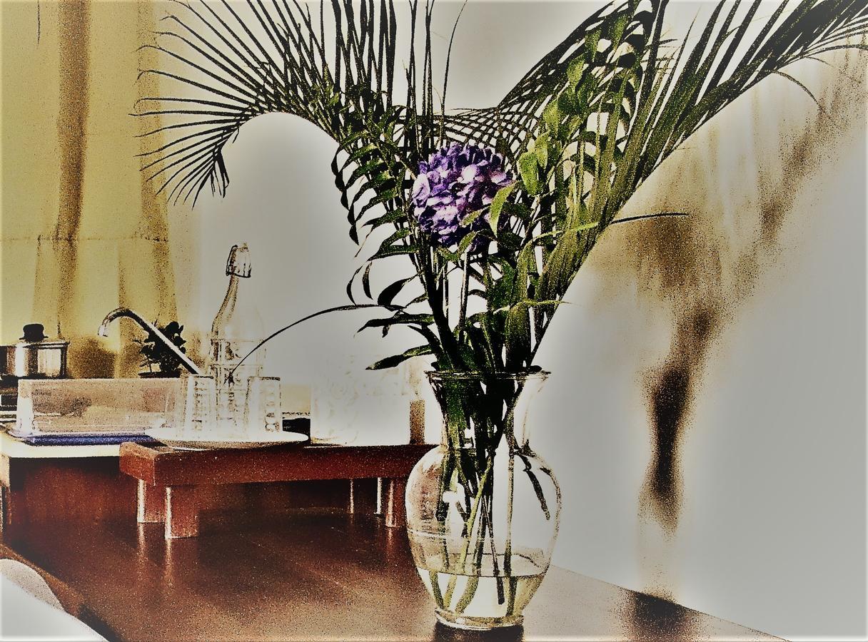 Hotel Boutique Simona Ла-Романа Экстерьер фото