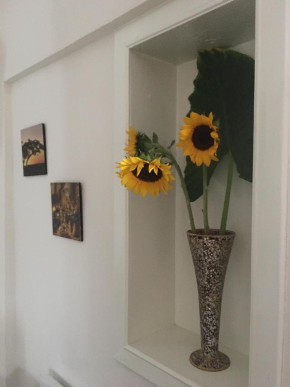 Hotel Boutique Simona Ла-Романа Экстерьер фото